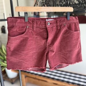 Carve Designs Burgundy Corduroy Shorts